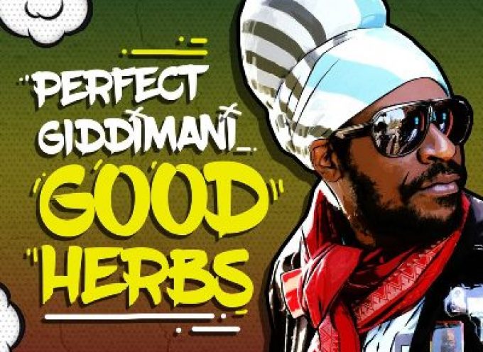 Perfect Giddimani – Good Herbs (prod by Jimmy Splif Sound)