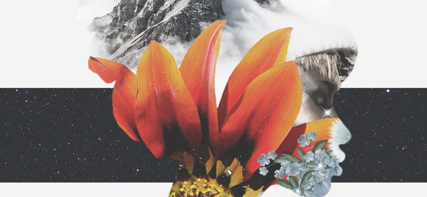 Met Fish fuori con Universe 2