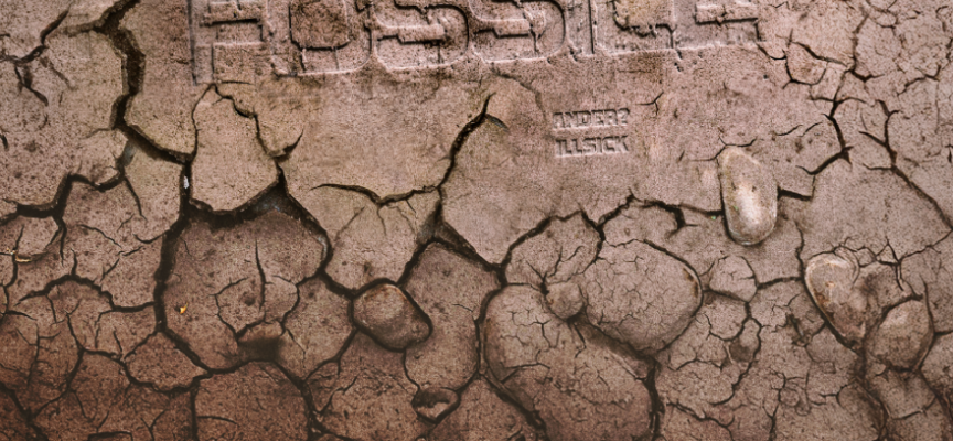 FOSSILE: il nuovo singolo di ANDER? disponibile su tutte le piattaforme digitali